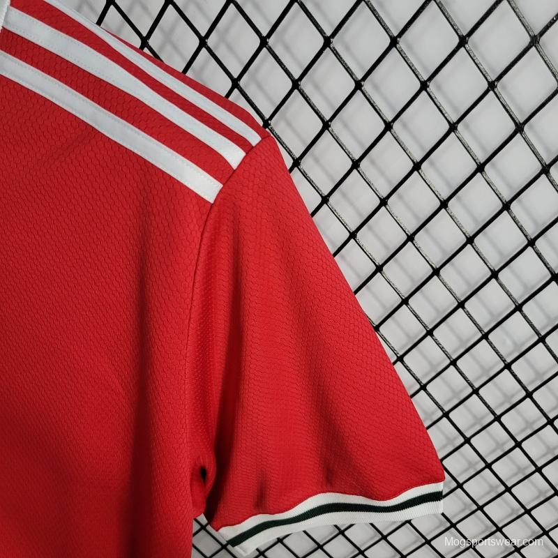 2022 Wales Home Soccer Jersey